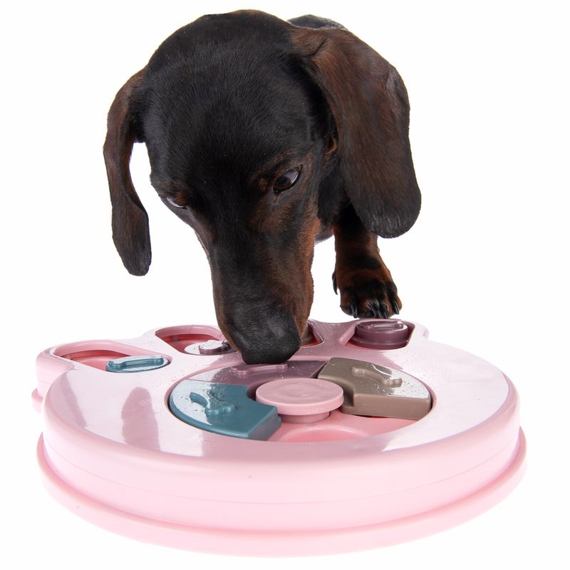Intelligenzspielzeug Snack Paw zu TOP-Preisen