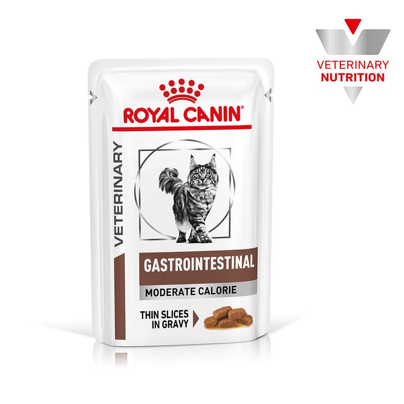 Royal Canin Veterinary Feline Gastrointestinal Moderate Calorie