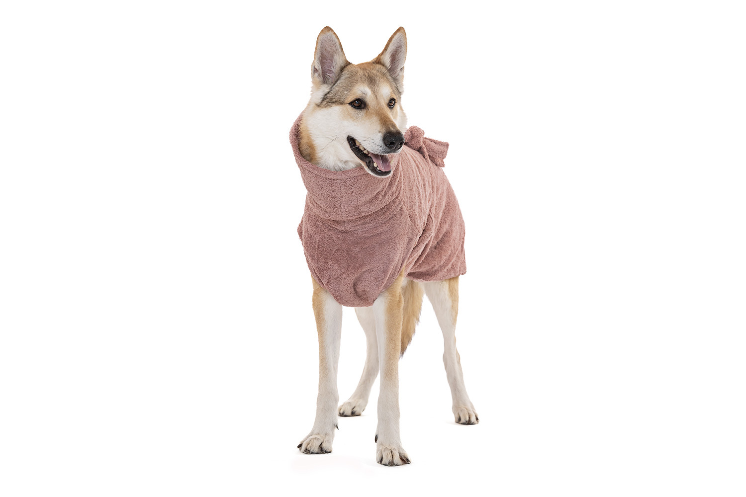 Lills Hundemäntel Lills Lill's Hundebademantel 