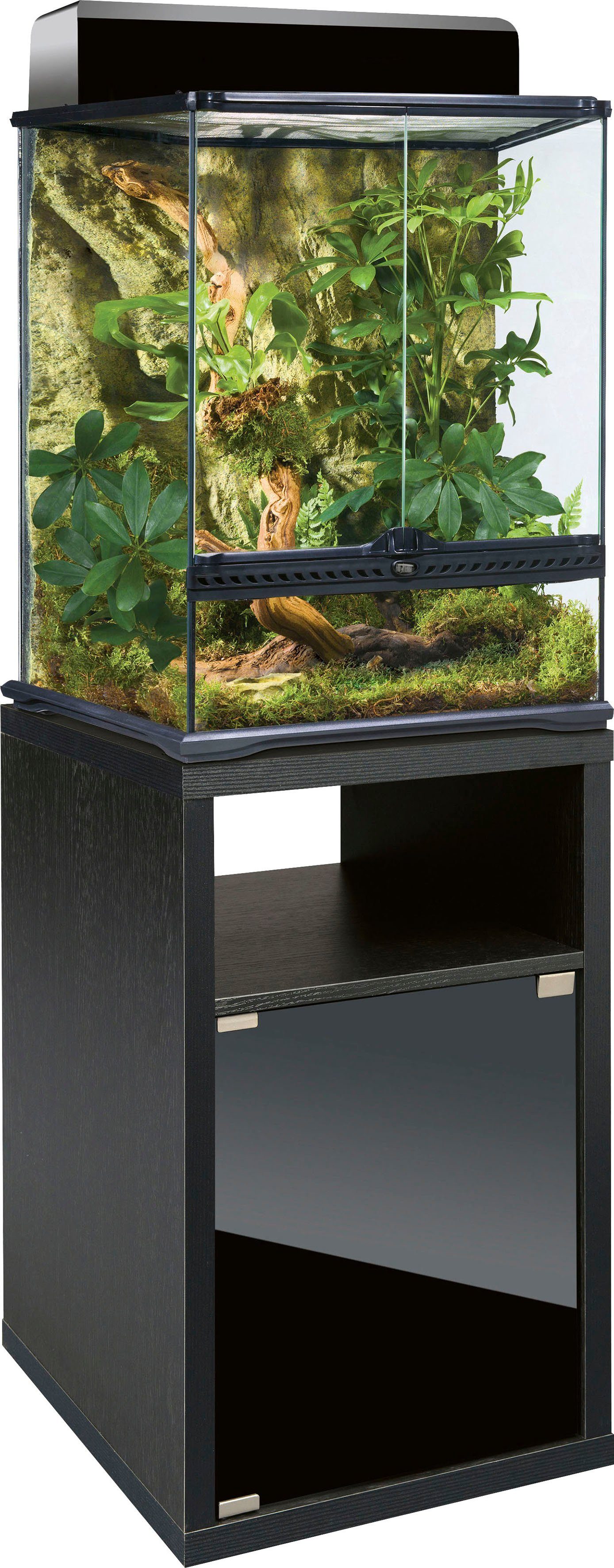 Exo Terra Terrarium, Gesamtmaß BxTxH: 45x65x130 cm, inkl. Steinmotivrückwand