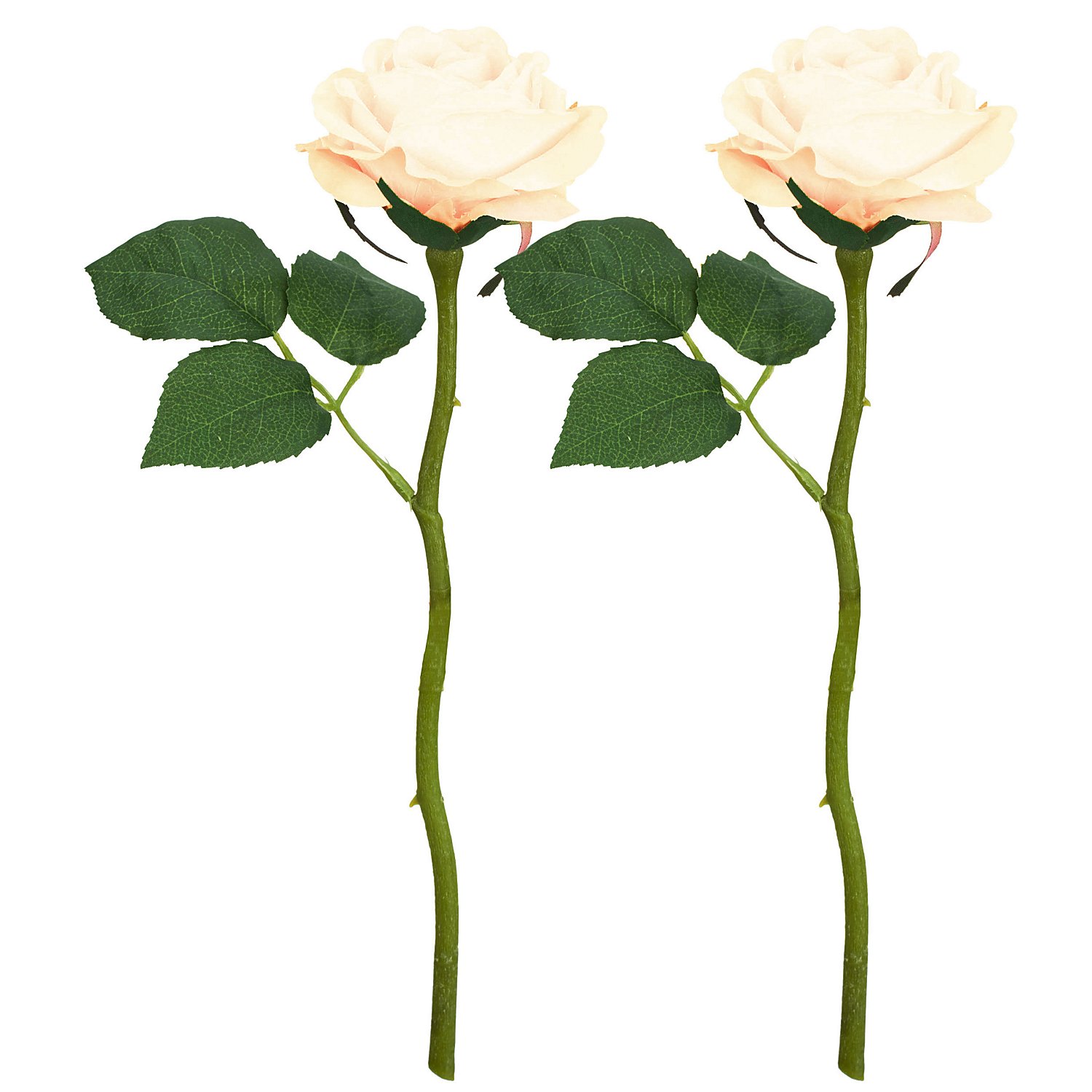 Rosen, weiß, 30 cm