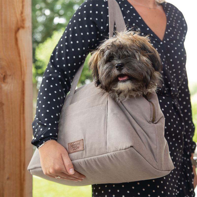 Designed by Lotte Hundetragetasche Bundu zu TOP-Preisen | bitiba