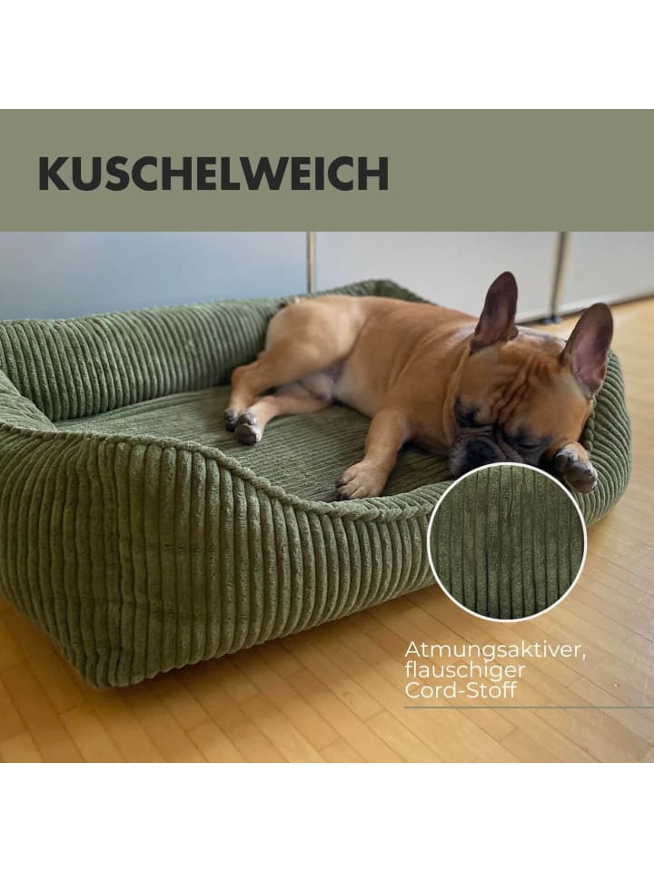 PAW WOW Hundebett ANTON Cord Olivegrün günstig kaufen 80 x 60 cm