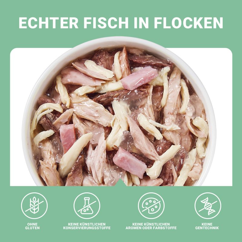 Schesir Jelly Pouch 6 x 85 g zu TOP-Preisen