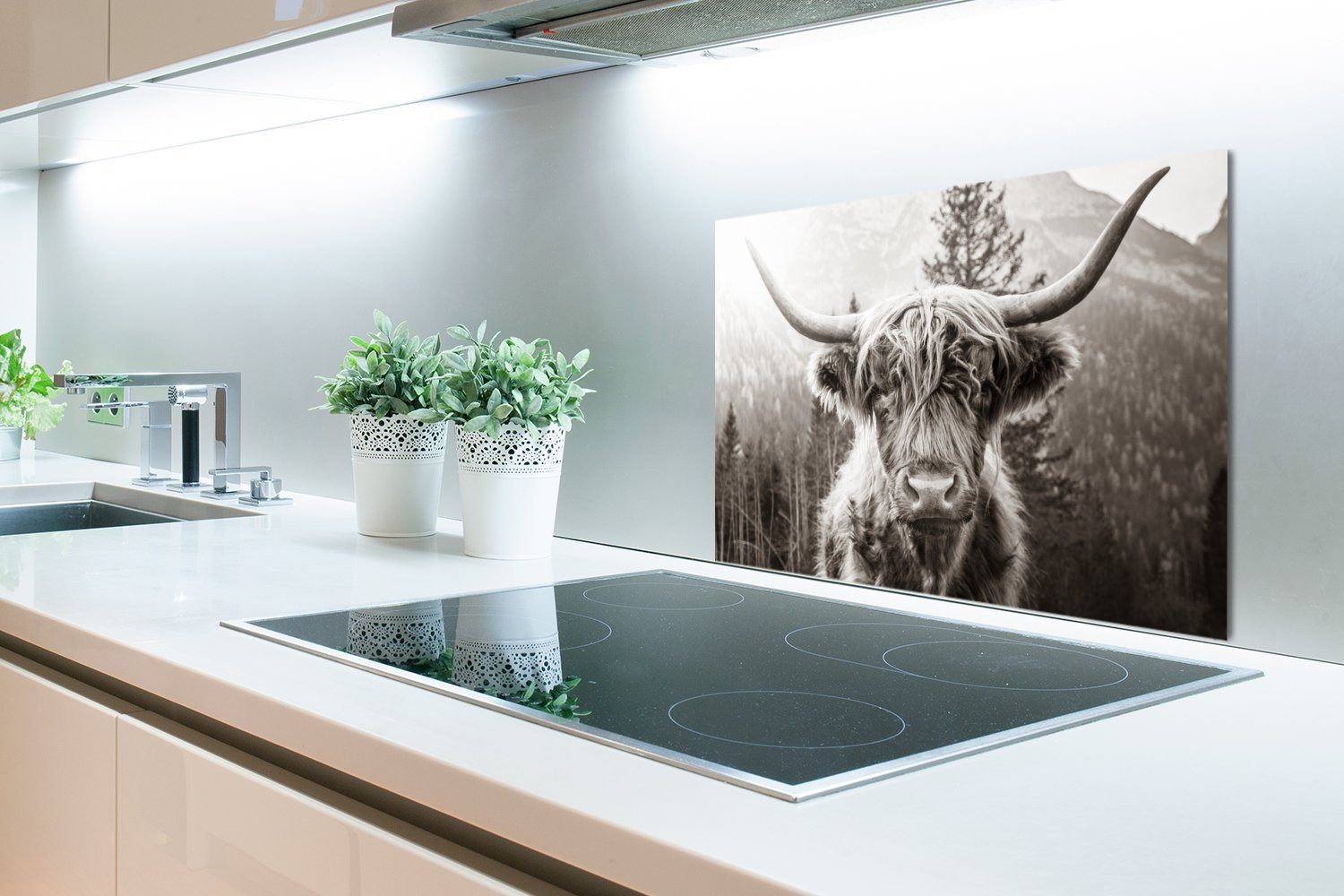 MuchoWow Küchenrückwand Schottischer Highlander - Kuh - Tiere - Schwarz - Weiß, (1-tlg), 60x40 cm, Herdblende aus Wandschutz, Temperaturbeständig küchen