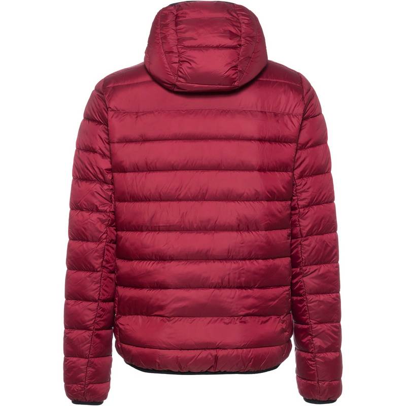 CHAMPION Legacy Steppjacke Herren