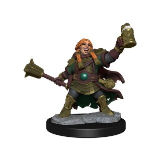 D&D Frameworks: Dwarf Cleric Female