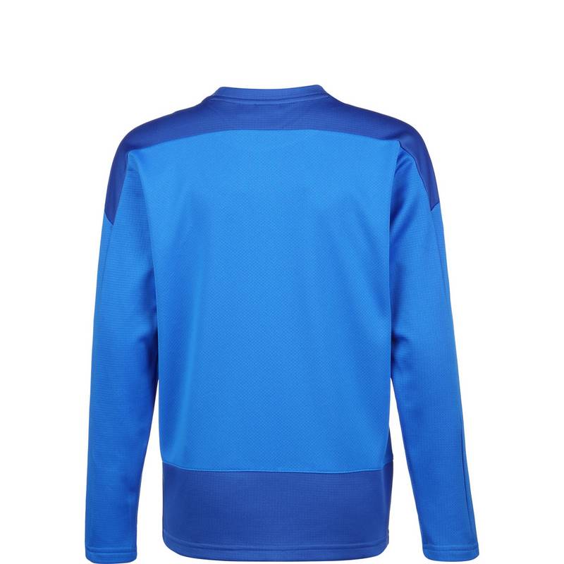 PUMA TeamGOAL 23 Funktionssweatshirt Jungen