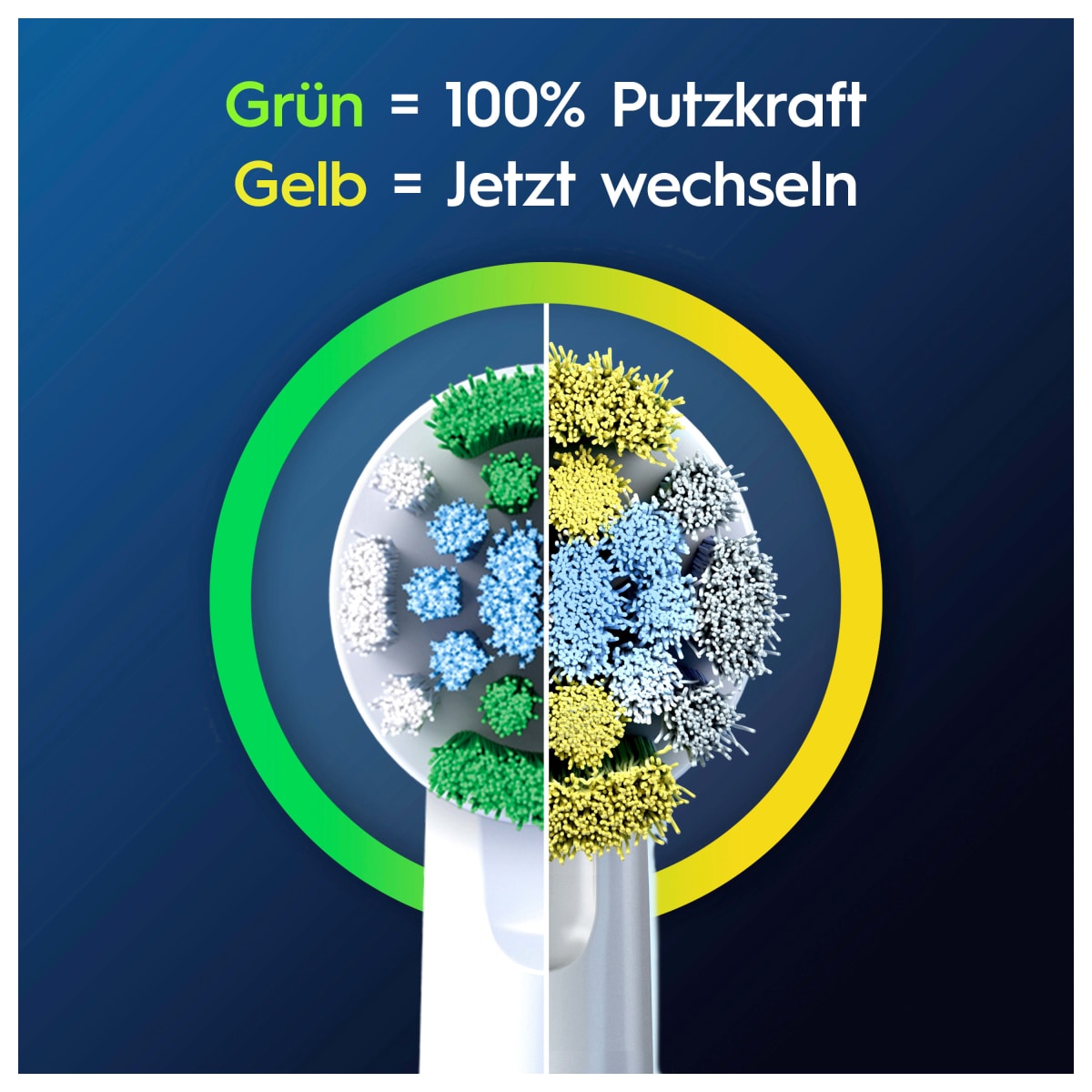 Aufsteckbürsten PRO Precision Clean, 8 St