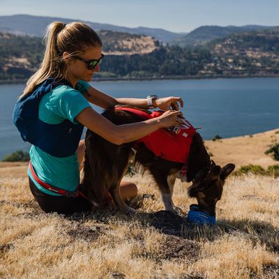 Ruffwear Switchbak Harness, Red Sumac