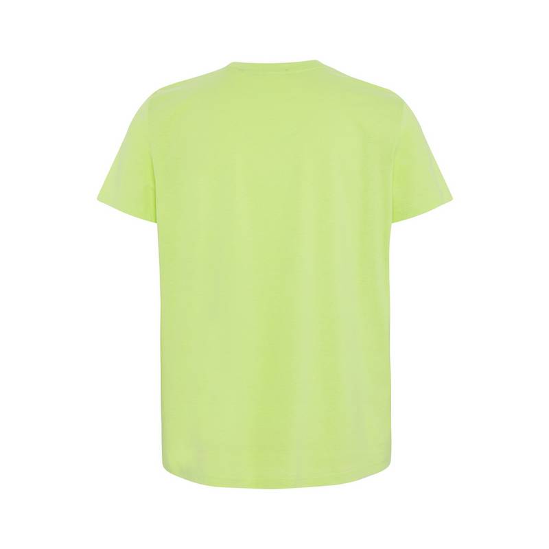 Chiemsee T-Shirt T-Shirt Herren