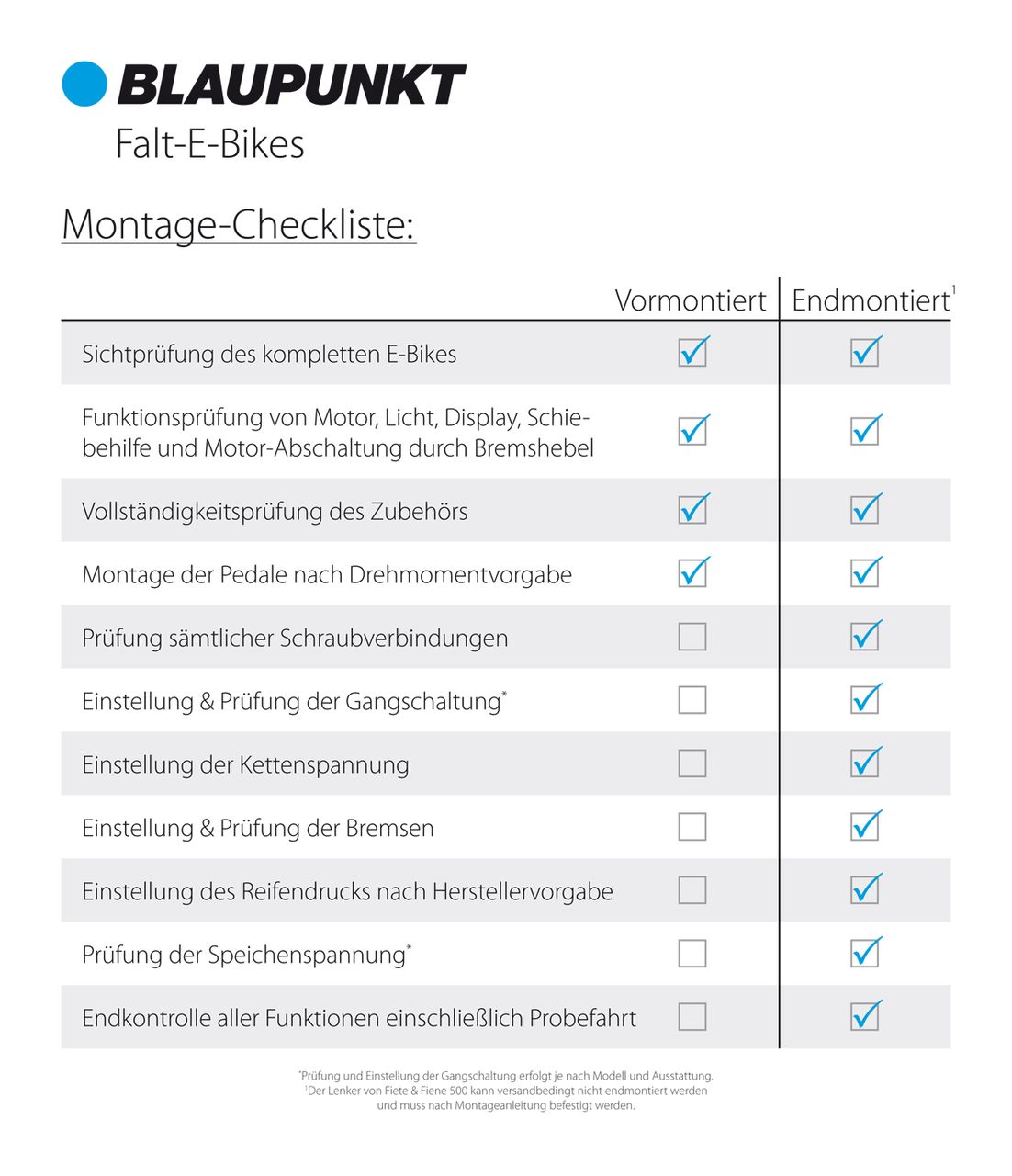 Blaupunkt E-Bike Endmontage