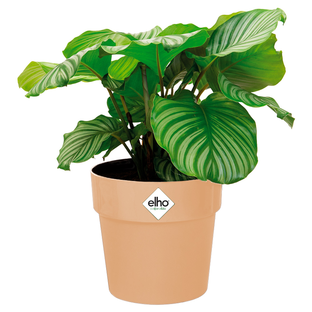 Casaria Deuba® Blumentopf Nude 18x17cm 2,9L