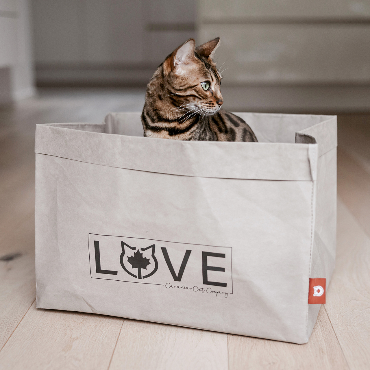 Canadian Cat Company Katzenbetten & Katzensofas Canadian Cat Company Katzenbett Winnipeg