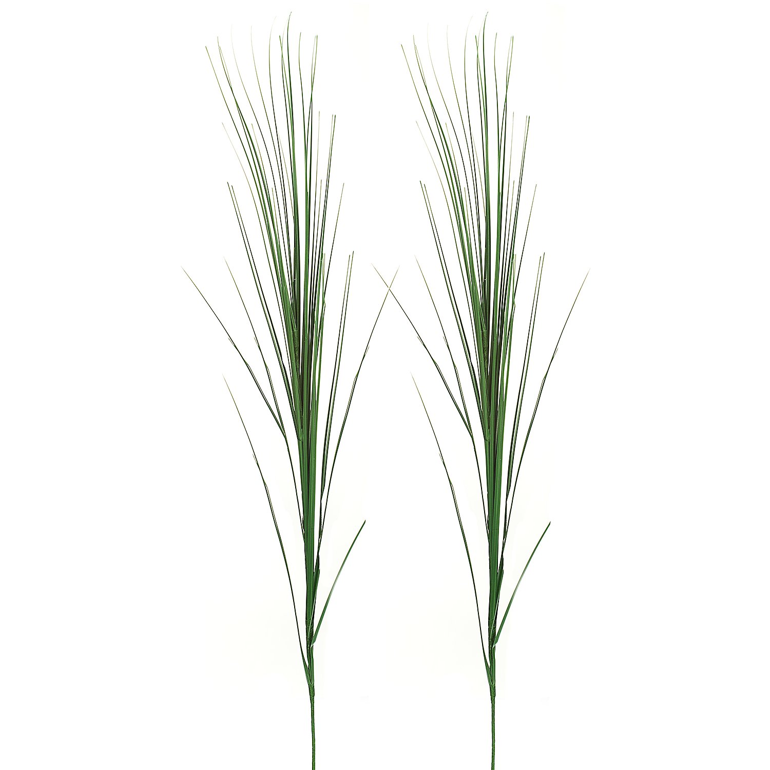 Ziergras, 70 cm, 2 Stück