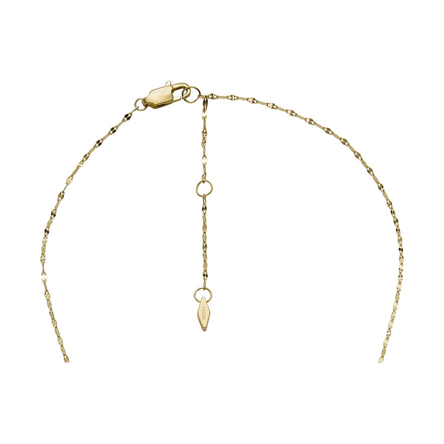 Fossil Kette