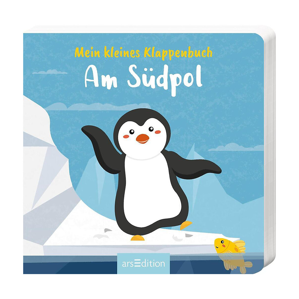 Mein kleines Klappenbuch - Am Südpol