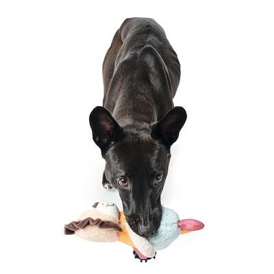 HUNTER Hundespielzeug Muli Löwe