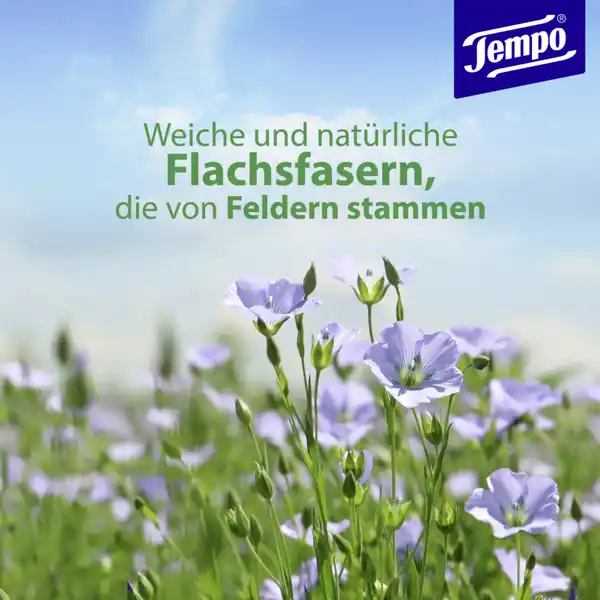 Feuchte Toilettentücher Mein Verwöhnmoment Mandelmilch
