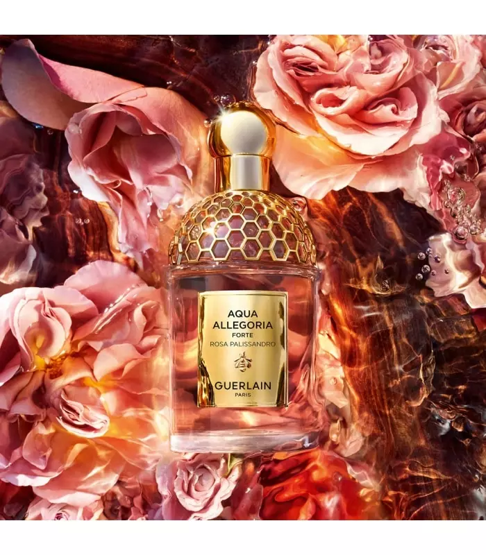 AQUA ALLEGORIA FORTE  Rosa Palissandro - Eau de Parfum