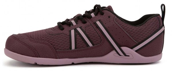 Xero |f ~ Prio ~ Fig/Elderberry