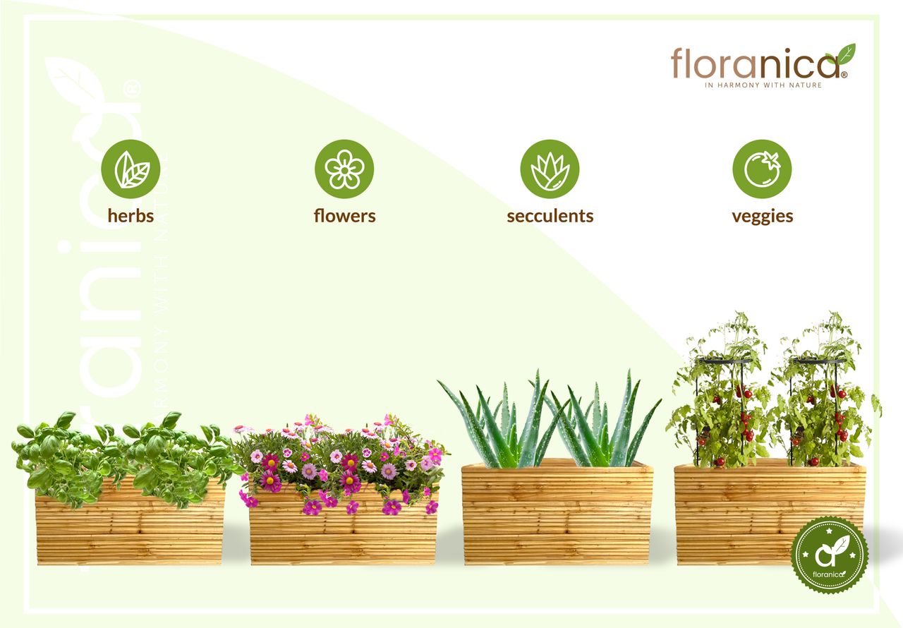 Pemicont Floranica Blumentopf aus Holz Kasten 50cm x 335cm x 285cm Natural Imprägnierte Lärche Gehäuse für Kräuter Blumen Haus- und Gartendekoration Innen- und Außenbereich EU-Produkt