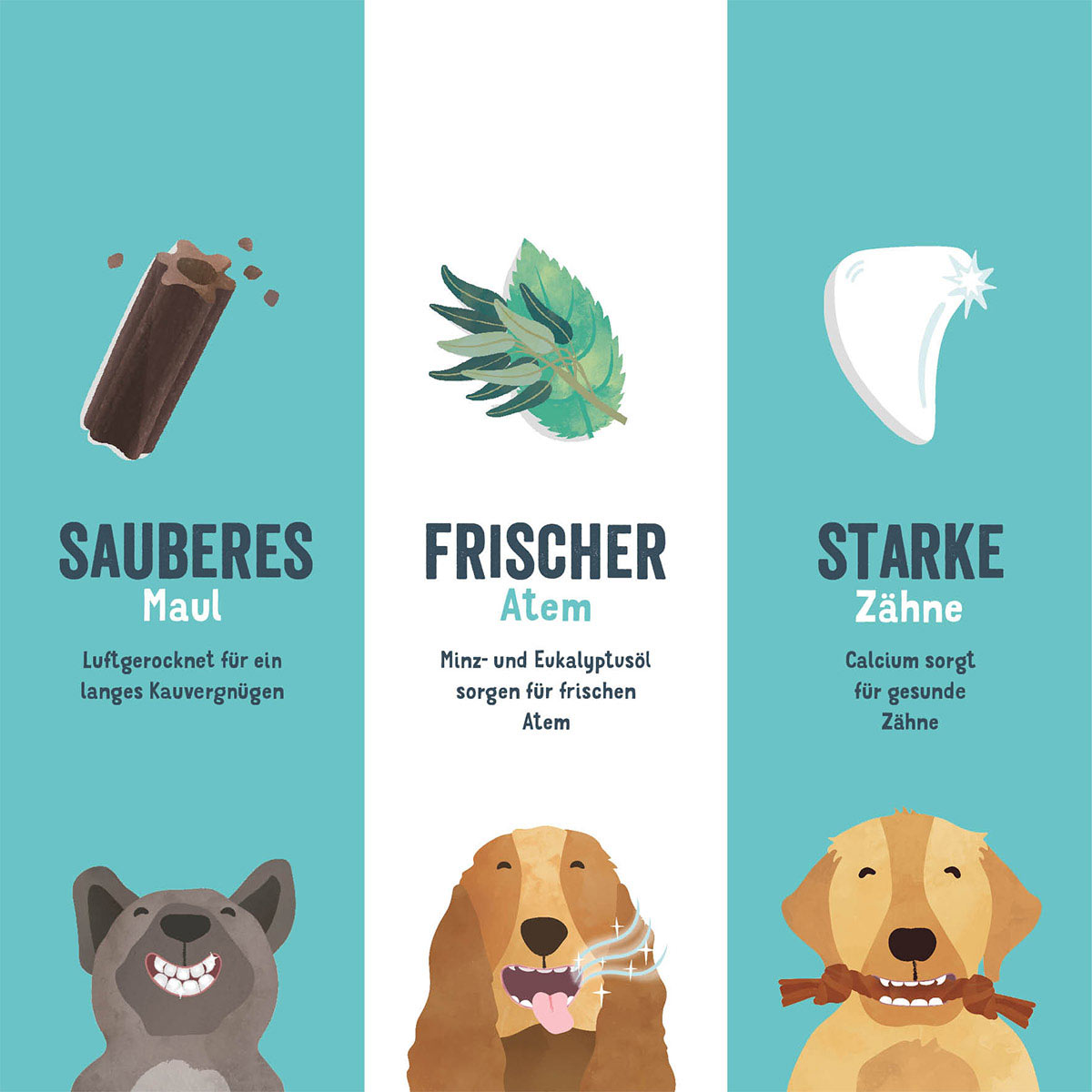Edgard & Cooper Doggy Dental Apfel/Eukalyptus S bei ZooRoyal