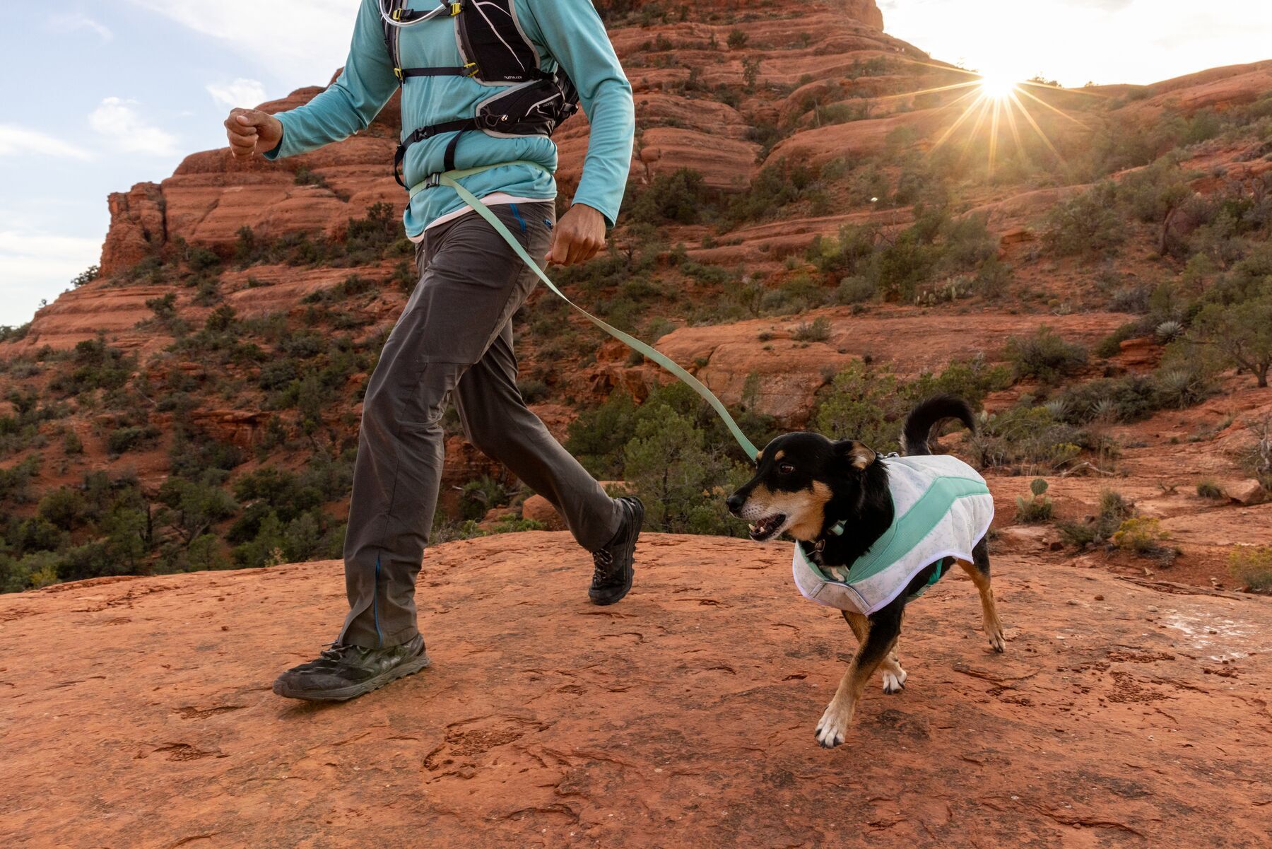 Ruffwear Hundewesten Ruffwear Swamp Cooler™ Kühlweste für Hunde grün M