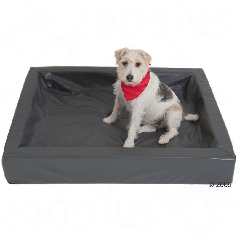 Sparset Das hygienische Hundebett + Kuscheldecke Velvet zu TOP-Preisen