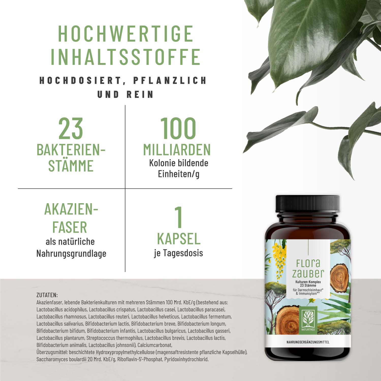 Kulturen-Komplex für den Darm* - Florazauber - NATURTREU®