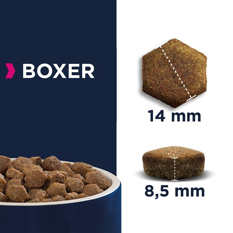 EUKANUBA Hundetrockenfutter EUKANUBA Breed Specific Boxer 2x12 kg