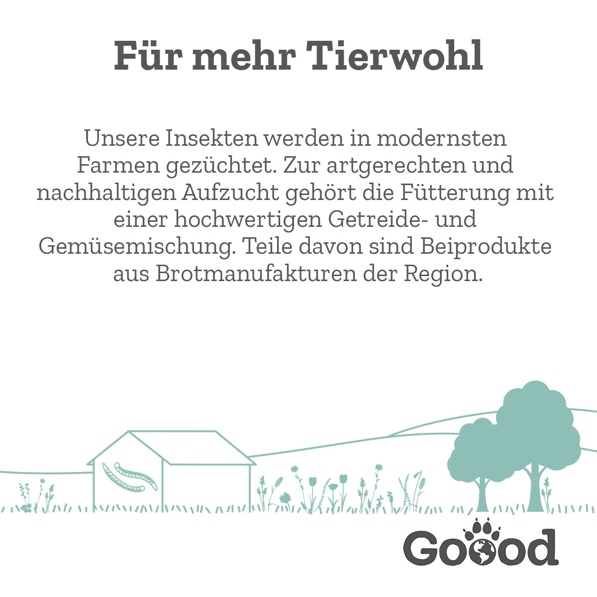 Goood Adult Nachhaltige Insekten günstig kaufen bei ZooRoyal