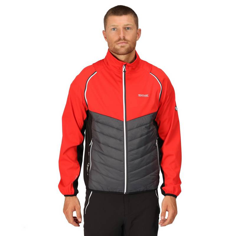 Regatta Steren Funktionsjacke Herren