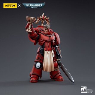 Warhammer 40k Actionfigur: Blood Angels Veteran Salus