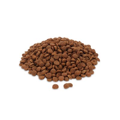 Feringa Adult Classic Rind