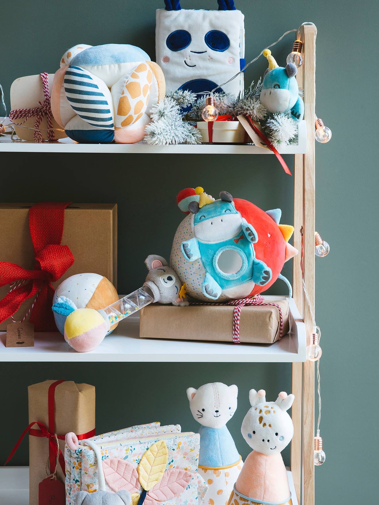 Livre photos Koala rose