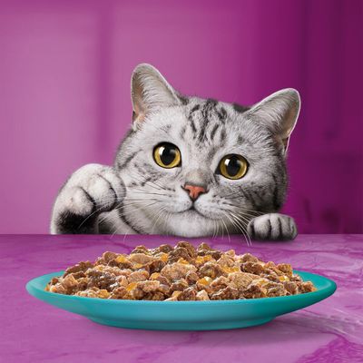 Jumbopack Whiskas Duo Portionsbeutel 144 x 85 g