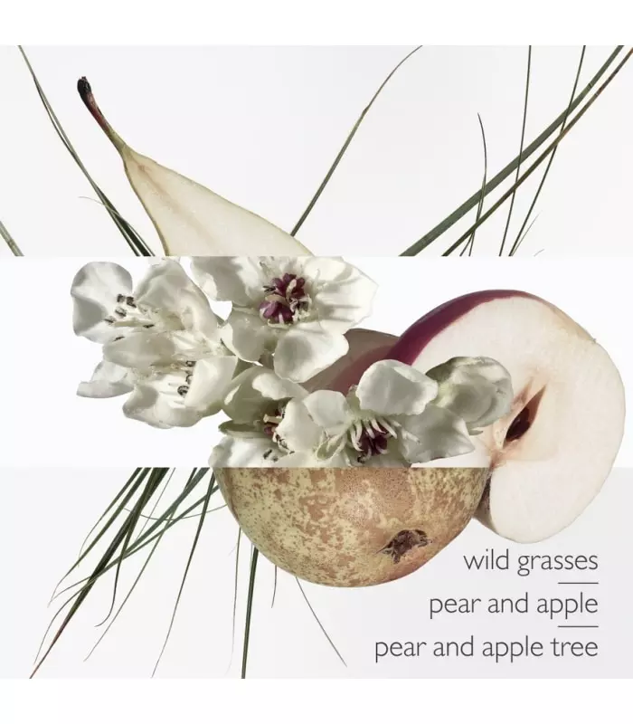 UN JARDIN SUR LE TOIT Eau de Toilette Vaporisateur