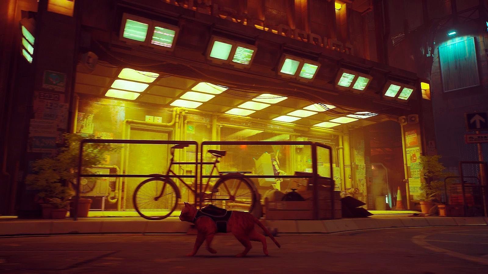 Stray Streuner Playstation 5 PlayStation 5, EU Version- Spielbar auf jeder europäischen Playstation 5