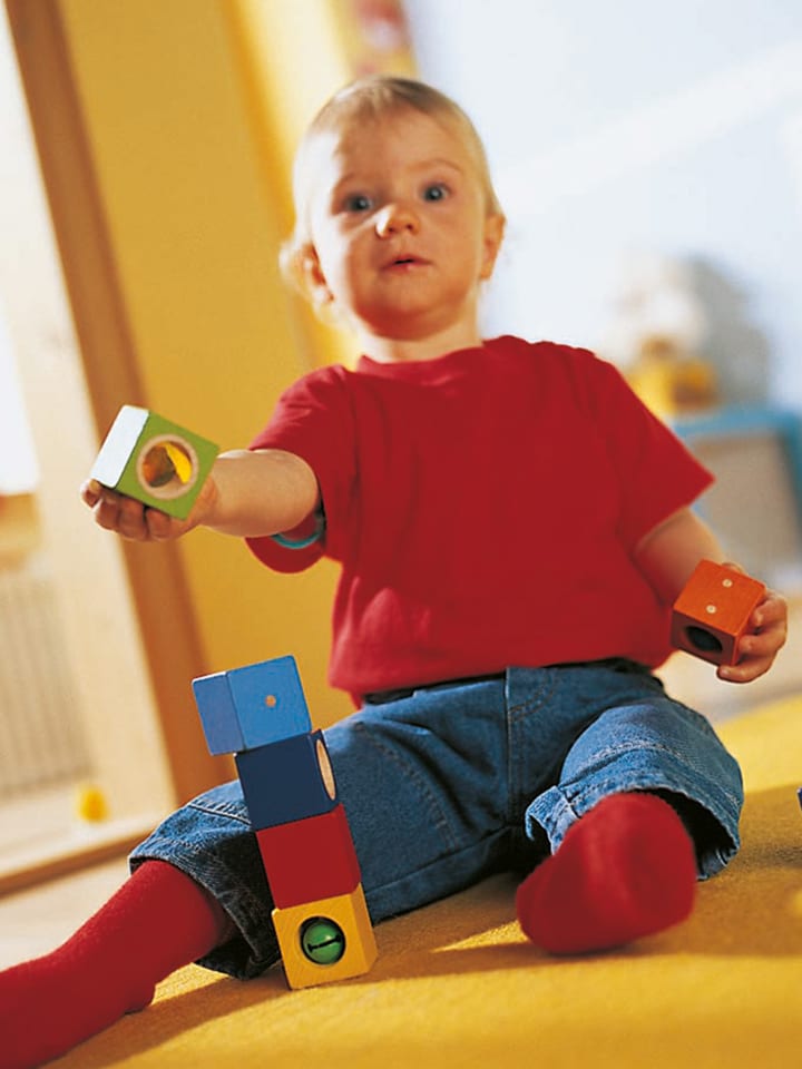 Haba Spielbausteine Erkundungssteine in mehrfarbig günstig kaufen onesize