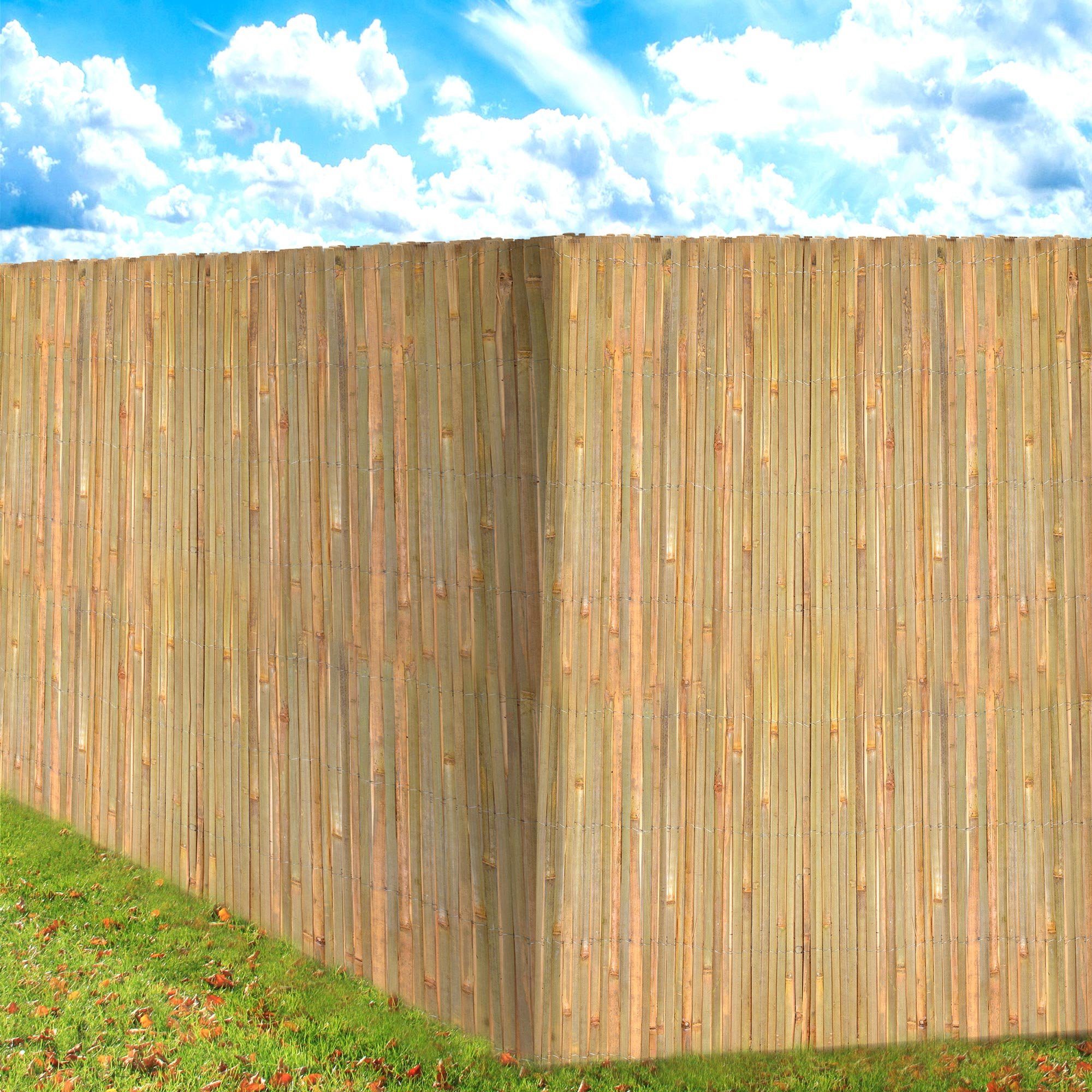 Sol Royal Balkonsichtschutz SolVision B89 Sichtschutz Balkonsichtschutz Bambus 300x100cm