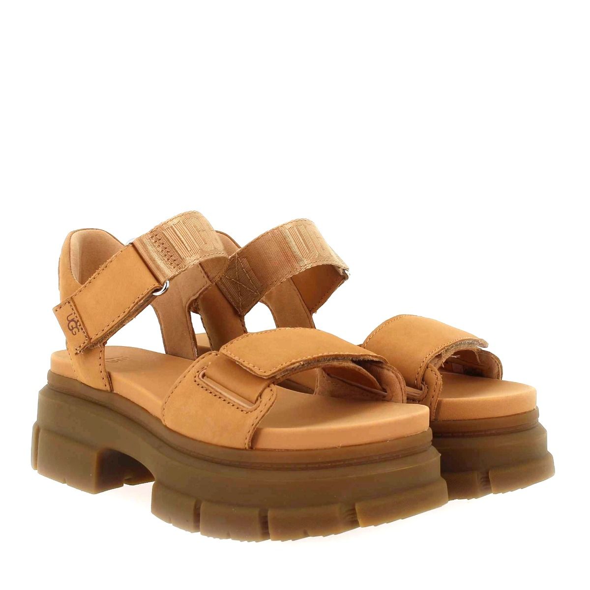 UGG  W ASHTON ANKLE - Camel