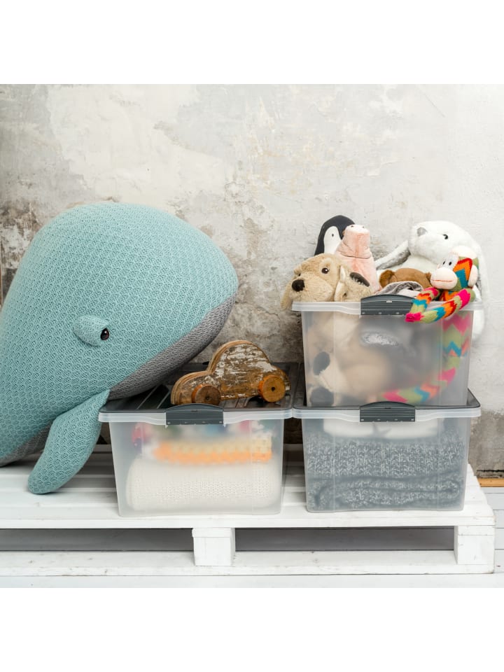 Rotho Compact 3er-Set Aufbewahrungsbox 38l mit Deckel in Anthrazit günstig kaufen onesize