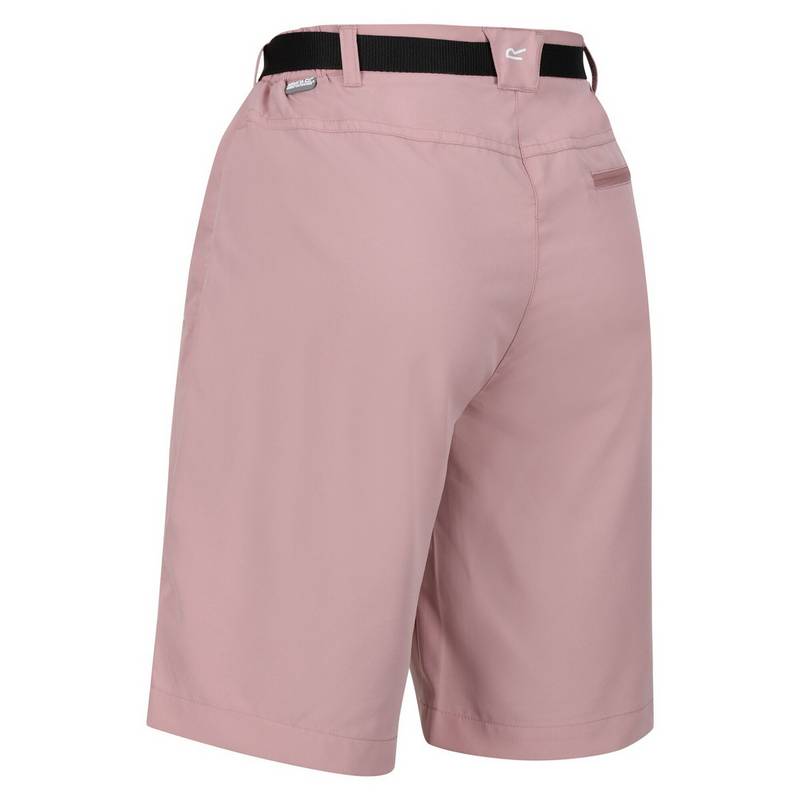 Regatta Xert It Shorts Damen