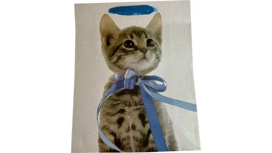 BOCK Geschenktüte gross Katze 32x26x12cm sortiert