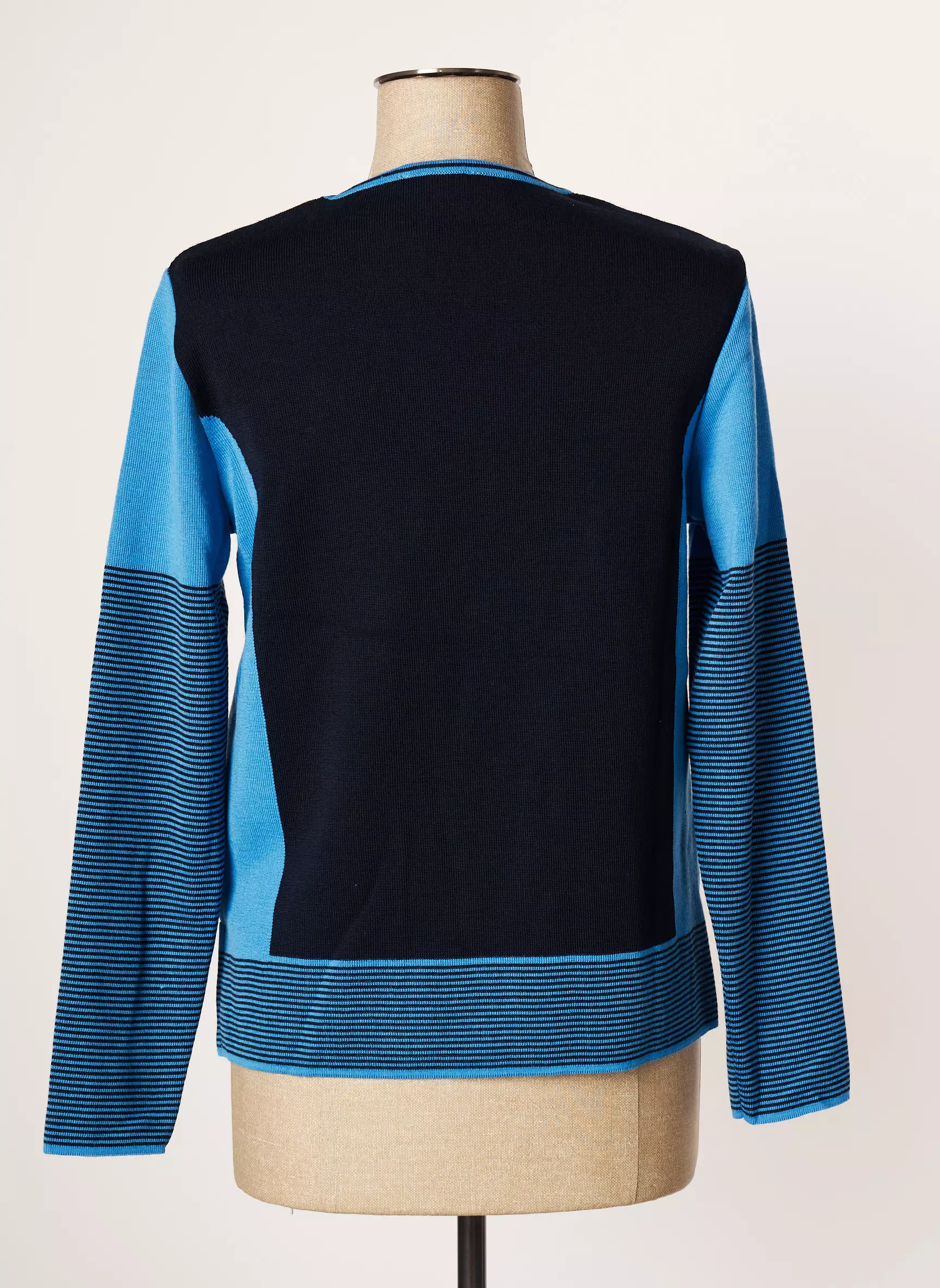 Eleane Pulls Femme couleur bleu