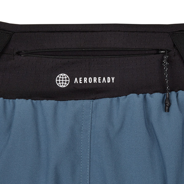 TERREX AGRAVIC SHORT Herren - Shorts
