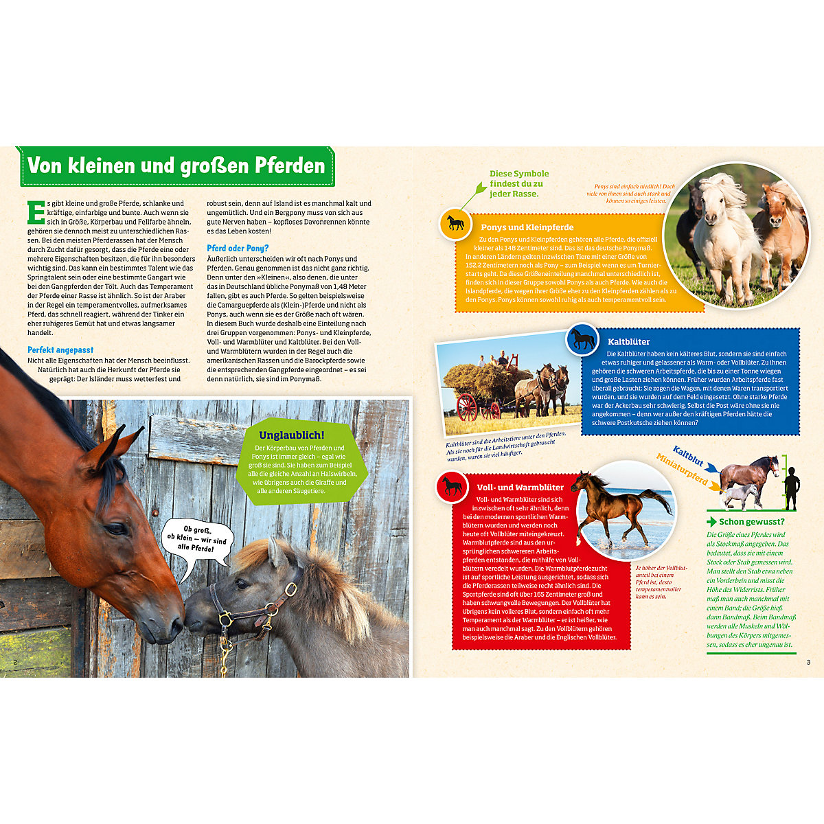 Was ist Was: Pferde und Ponys