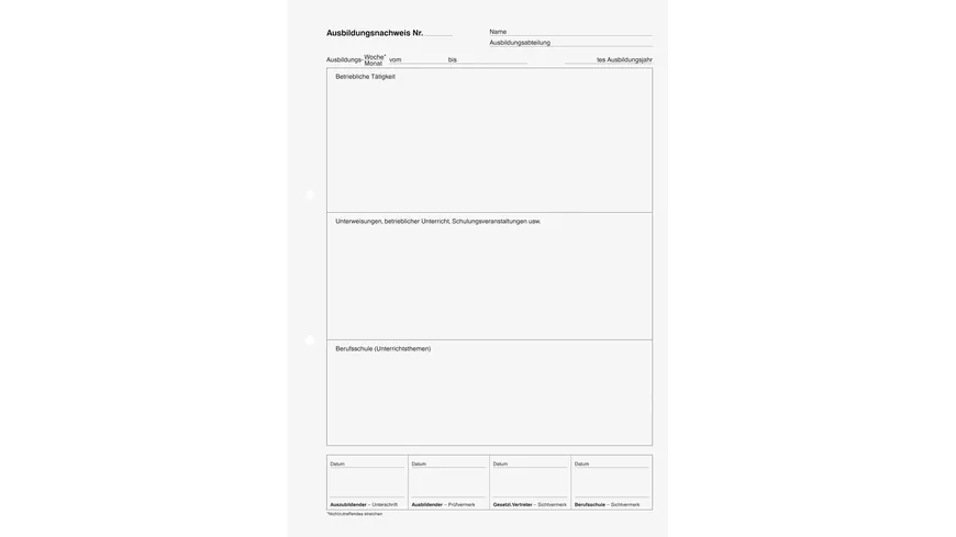 BRUNNEN Berichtsblock A4 Wochen- bzw.Monatsberichte grün