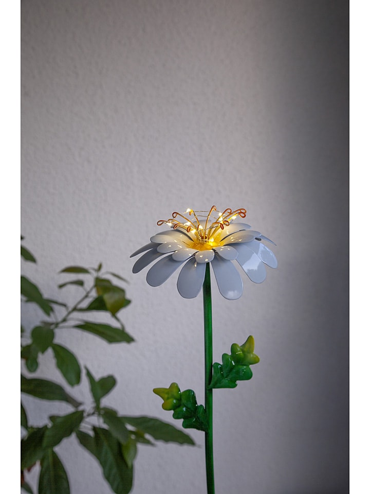 STAR Trading LED-Solar-Gartenstecker in Grün/ Weiß günstig kaufen onesize